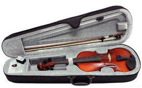 GEWA Pure Violin Outfit EW 4/4