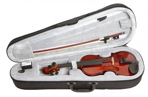 GEWA Pure Violin Outfit HW 4/4
