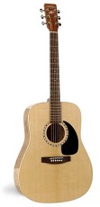 ART & LUTHERIE SPRUCE NATURAL HG QI