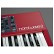 CLAVIA NORD Wave 2