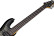 SCHECTER C-6 PLUS