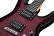 SCHECTER C-6 PLUS