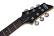 SCHECTER C-6 PLUS