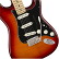 FENDER PLAYER Stratocaster Plus Top MN Aged Cherry Burst